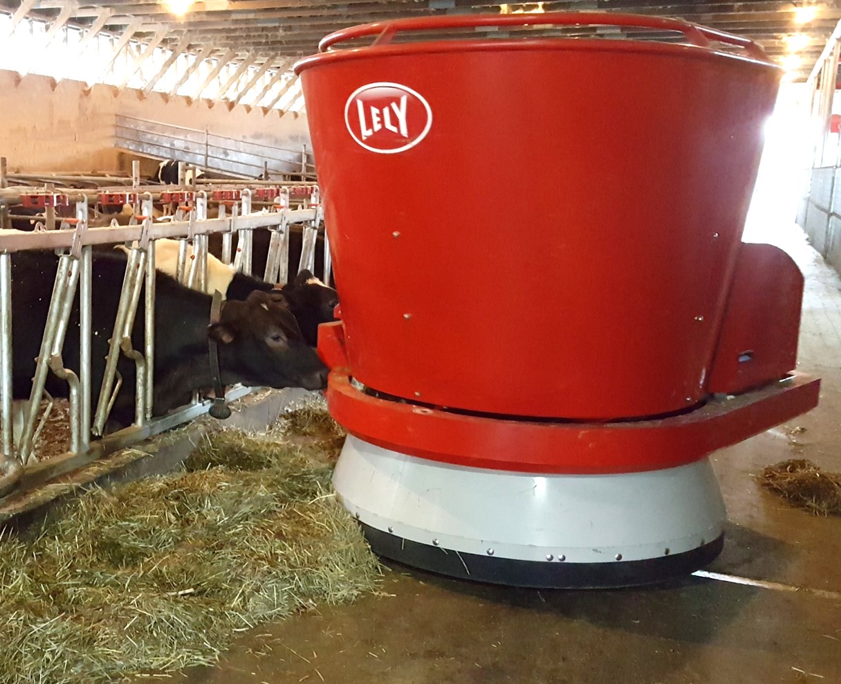 lely-feed-pusher-heifers